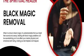 The Master of Black Magic Removal