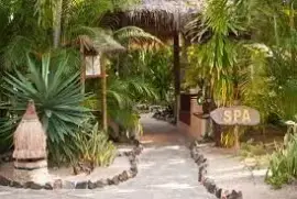The Palm Bliss : The best Resort in Dehradun