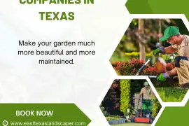 Landscaping Companies in Texas