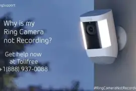 How do I get my Ring camera to record? 