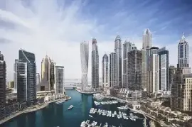 Unlock Business Opportunities - Dubai Commercial P