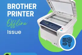 Dealing with Brother Printer Offline Issues: Maint