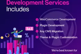 Custom WordPress Development Services Company