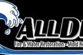 All Dry Water Damage Experts, Inc.