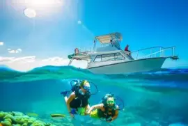 Discover Underwater Bliss: Scuba Diving Cabo Pulmo