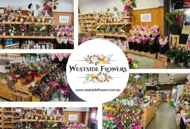 Best Florist in Adelaide | Westside Flowers