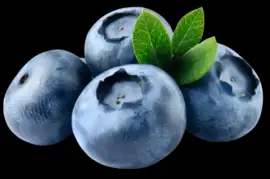Fresh Blueberry from Peru 125g