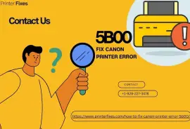 How to Fix Canon Printer Error 5B00