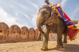 Book Jaipur Sightseeing Tour-My Rajasthan Trip