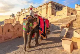 Book Jaipur Sightseeing Tour-My Rajasthan Trip