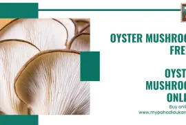 Buy Oyster Mushroom Online from My Pahadi Dukan