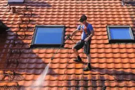 Revitalize Your Home with Expert Roof Cleaning