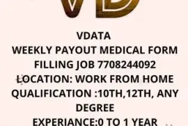  BPO Non voice projects and US Medical Form Filling available 7708244092