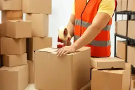 FedEx Gurgaon Shipping Service