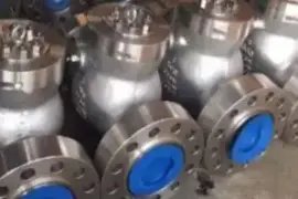 Swing check valve supplier in Bahrain