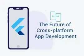 Hire dedicated Flutter App Developer India 