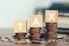 Maximize Tax Efficiency with Expert Tax Planning
