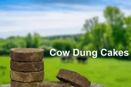 Cow Dung Cake Price In India