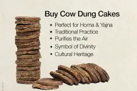 Cow Dung Diya In India