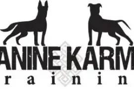 Canine Karma Training