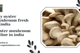 Buy Oyster Mushrooms Online from My Pahadi Dukan