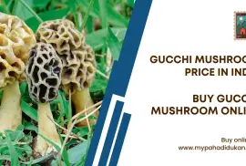 My Pahadi Dukan's Premium Gucchi Mushrooms Online